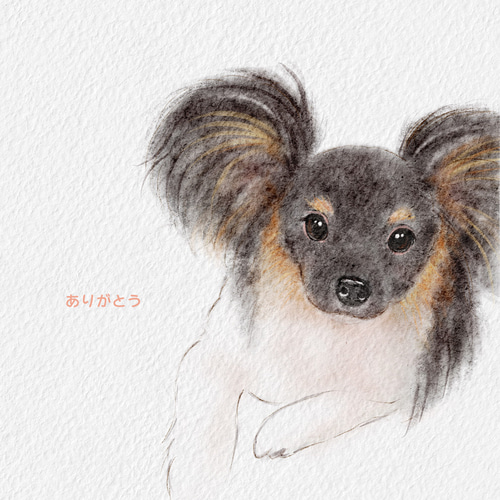 8787ya ペット似顔絵オーダー 絵画 原画 ペット 犬 猫 動物 8787ya様専用 ペット似顔絵オーダー 絵画 原画 ペット 犬 猫 動物