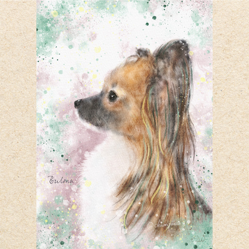 色鉛筆画✭愛猫愛犬✭ペット似顔絵　オーダー受付　ページです♪1 色鉛筆で愛犬のオレオ描きました🐶🥰 #色鉛筆 #色鉛筆画 #犬