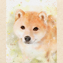つばっ子ページ イラストオーダー イラストオーダー - メルカリ
