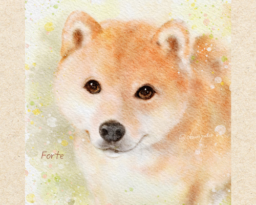 色鉛筆画✭愛猫愛犬✭ペット似顔絵　オーダー受付　ページです♪1 プロがお描きするペットの絵・オーダーメイド愛犬の絵・愛猫の絵