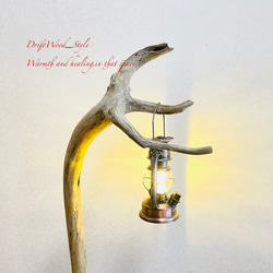 流木インテリア 芸術的な造形を描く無垢の流木スタンド ランタンやエアプラントを飾れる置物 北欧 照明 木材 N61 11枚目の画像