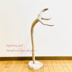 流木インテリア 芸術的な造形を描く無垢の流木スタンド ランタンやエアプラントを飾れる置物 北欧 照明 木材 N61 13枚目の画像