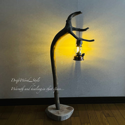 流木インテリア 芸術的な造形を描く無垢の流木スタンド ランタンやエアプラントを飾れる置物 北欧 照明 木材 N61 2枚目の画像