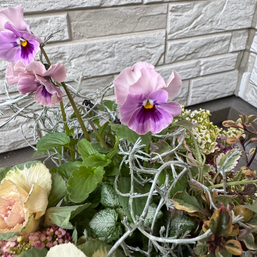 寄せ植え 花□季節の花のブリコラージュフラワー アートフラワー もり