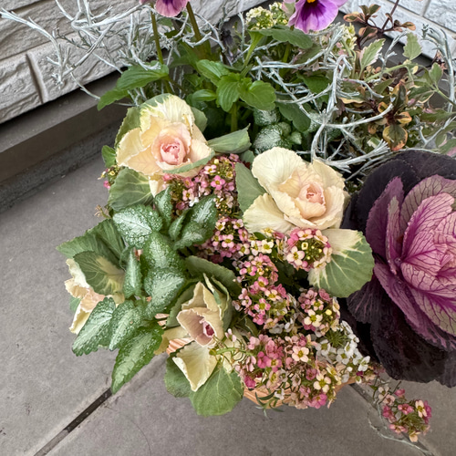 寄せ植え　花■季節の花のブリコラージュフラワー 寄せ植え 花□季節の花のブリコラージュフラワー アートフラワー もり
