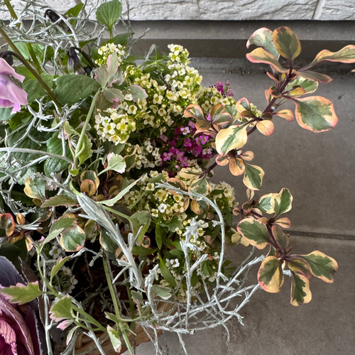 寄せ植え 花□季節の花のブリコラージュフラワー アートフラワー もり
