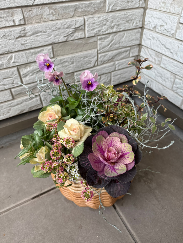 寄せ植え 花□季節の花のブリコラージュフラワー アートフラワー もり