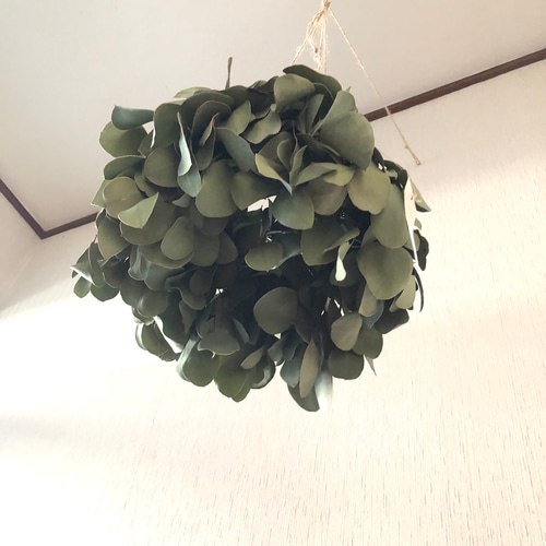 お中元 お歳暮 お年賀 夏 冬 年末年始のご挨拶 ギフト 通販な ユーカリ フライングリース リース ユーカリポポラス ＊ 30cm フラワー・リース