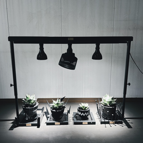 ☆送料込み☆ライトレールスタンド即購入OK 植物育成　アガベ　塊根　什器 ☆送料込み☆ライトレールスタンド1m 即購入OK 植物育成 管理