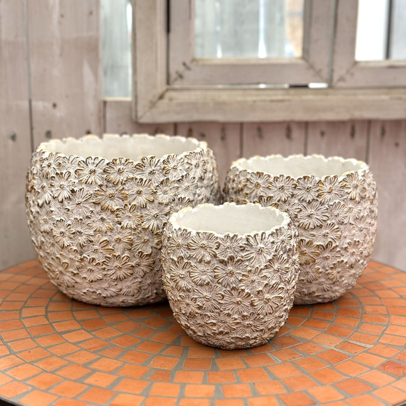 デイジーフラワーベーシック 花柄 フラワー セメント 植木鉢 鉢