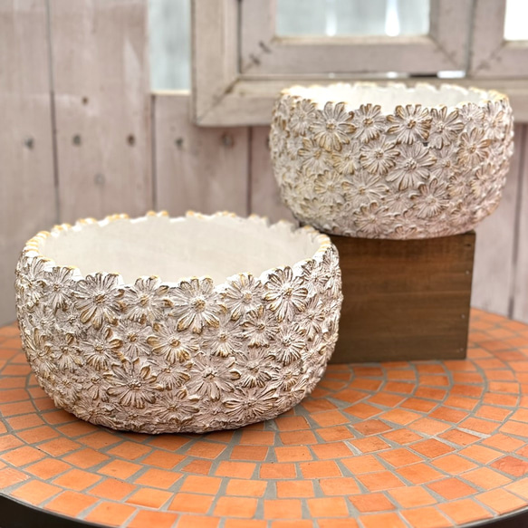 デイジーフラワーボウル 花柄 フラワー セメント 植木鉢 鉢 プランター