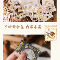  第11張的照片