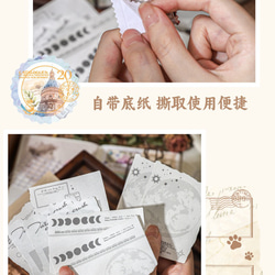  第13張的照片