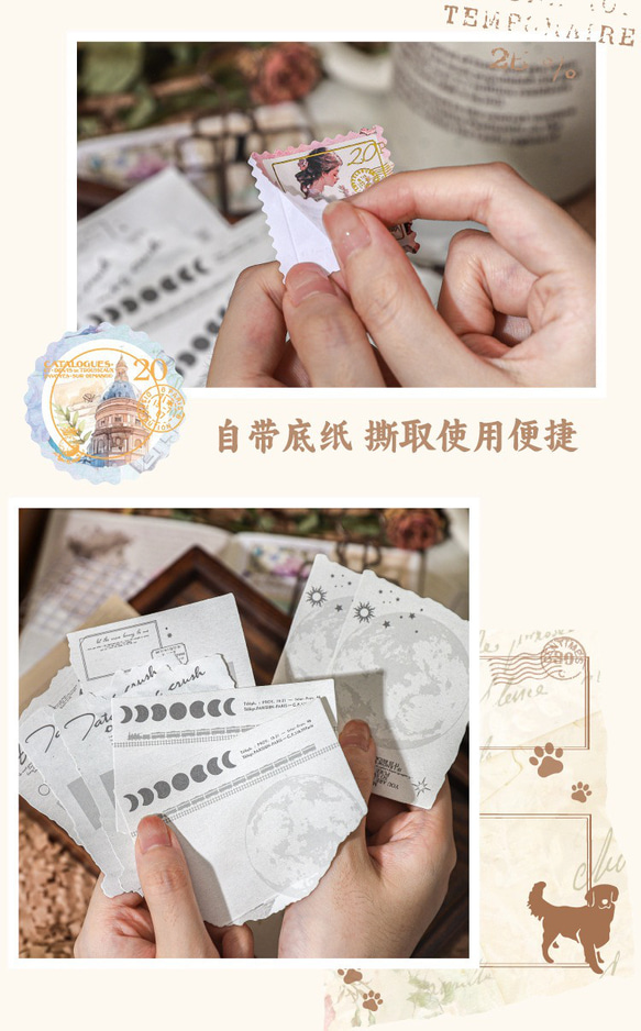  第13張的照片