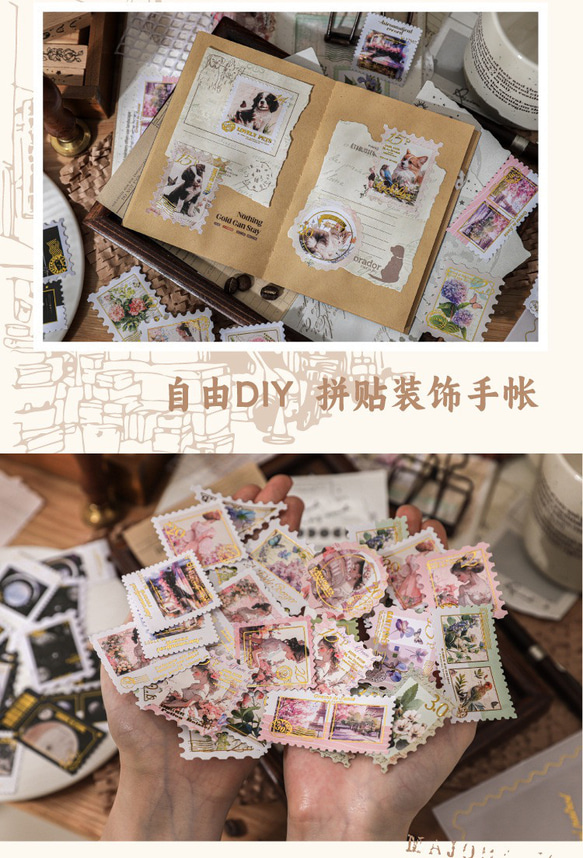  第12張的照片