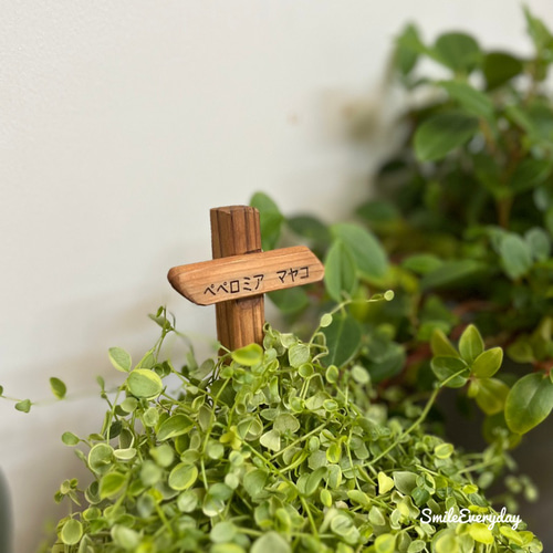 木製 プランターネームプレート レザー 文字入れ 観葉植物 その他