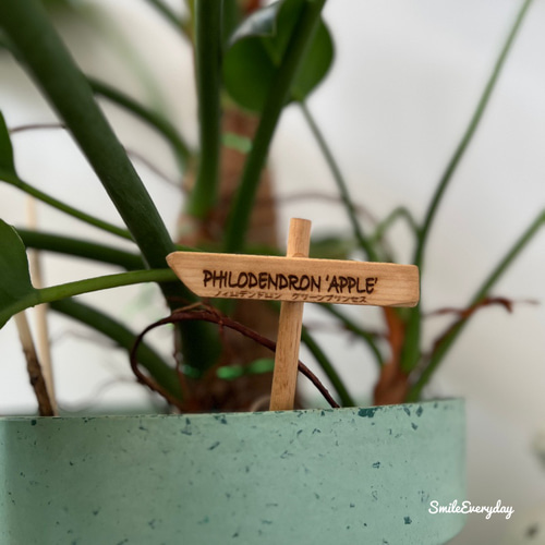 木製 プランターネームプレート レザー 文字入れ 観葉植物 その他