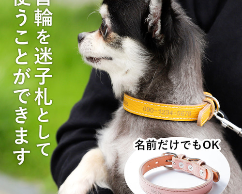 f5e9212022c8bf83c2c6c4b237ee1f