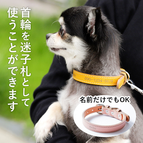 首輪を迷子札として使うことができる 名前・電話番号の刻印入り 小型犬