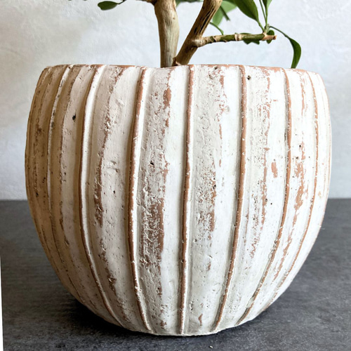 ボウルポット】 おしゃれ 陶器鉢 5寸 5号 中型 観葉植物 多肉