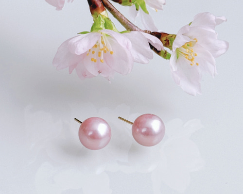 c4523b15e5f5e987cc4c450cb8e524