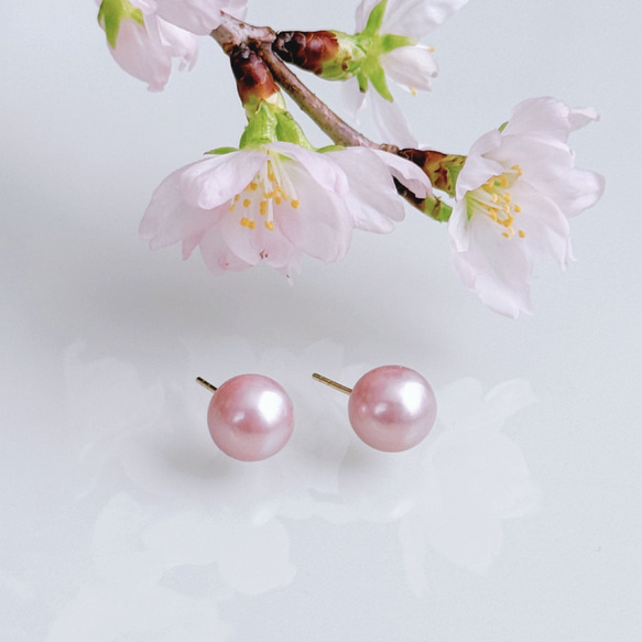 希少カラー モーヴピンク 淡水パール ピアス イヤリング 誕生日 ギフト