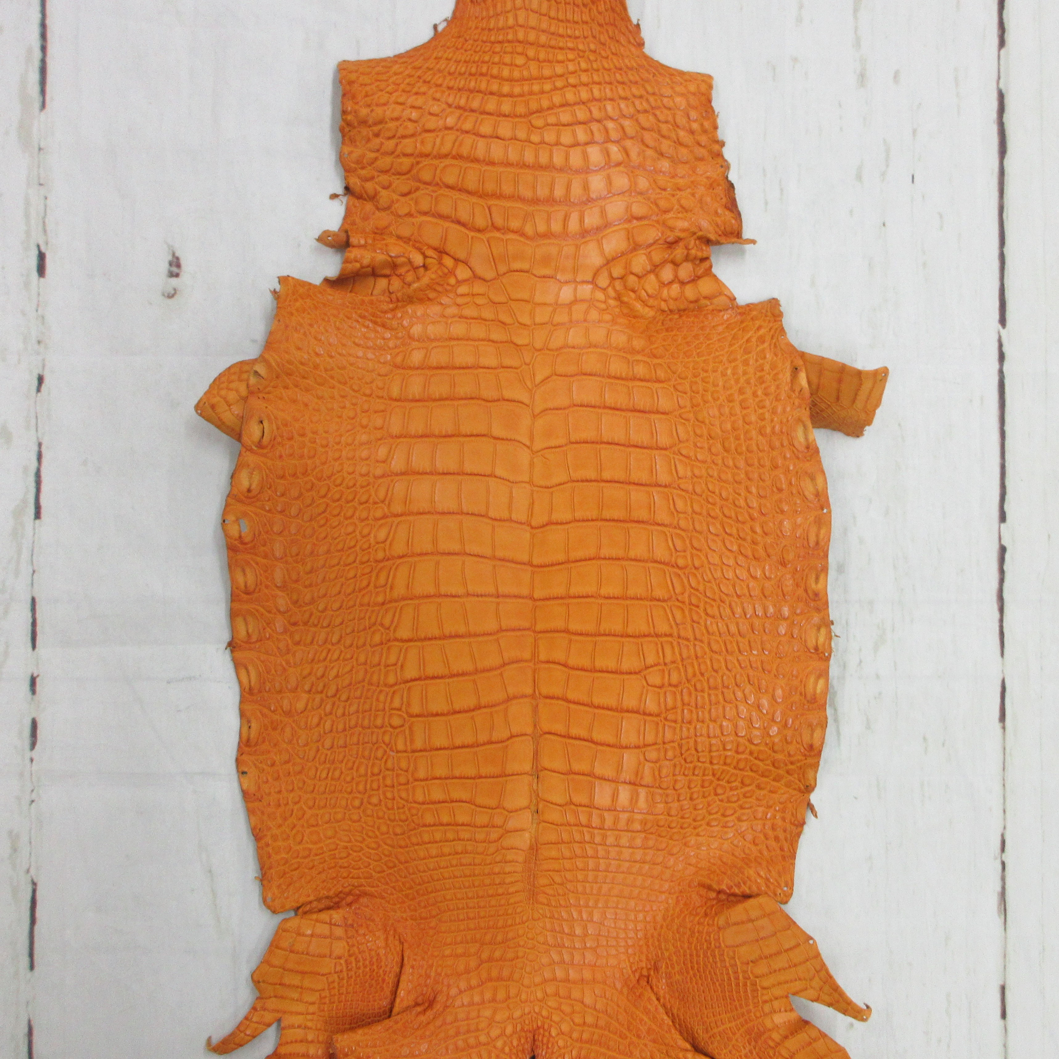 ワニ革　クレイフィニッシュ　タバック　No.C007235