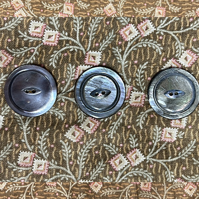 大型貝ボタン5pcs（No.3343）