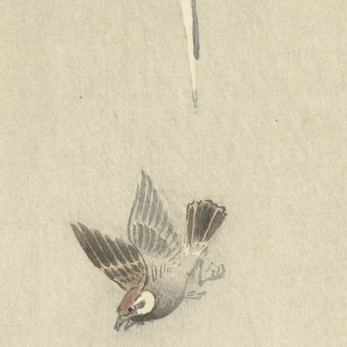 日本画 鳥の絵 花鳥画 (日本) - Wikipedia