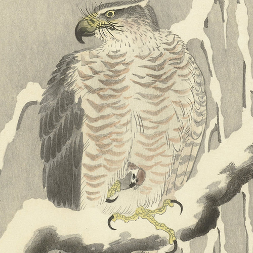 日本画 鳥の絵 花鳥画 (日本) - Wikipedia
