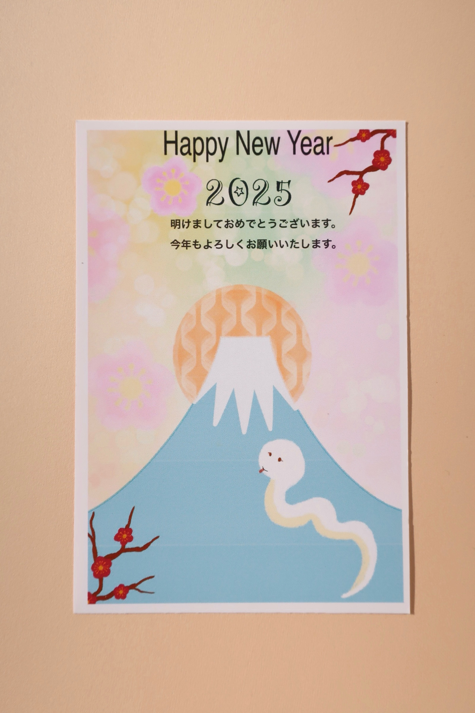 年賀状 年賀状じまい 2025年 巳年 10枚入 富士山 月 巳年 年賀状じまい 10枚入 富士山 2025年 月 年賀状