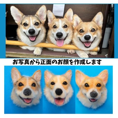 コーギーうちの子オーダーメイド 羊毛フェルト chimatto corgi 通販