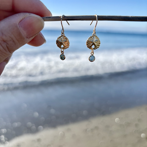 14kgf 海色ブルー モアサナイト サンドダラー ピアス エシカル