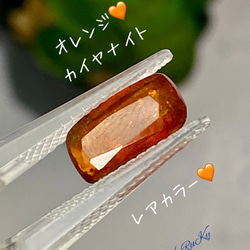 双如意天珠 如意天珠（にょいてんじゅ） 瑪瑙 1個 至純天珠 穴あき