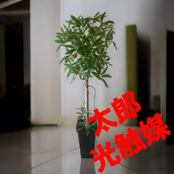 光触媒　人工観葉植物　ウォールグリーン　フェイクグリーン　パピルス60 光触媒 人工観葉植物 ウォールグリーン フェイクグリーン パピルス60