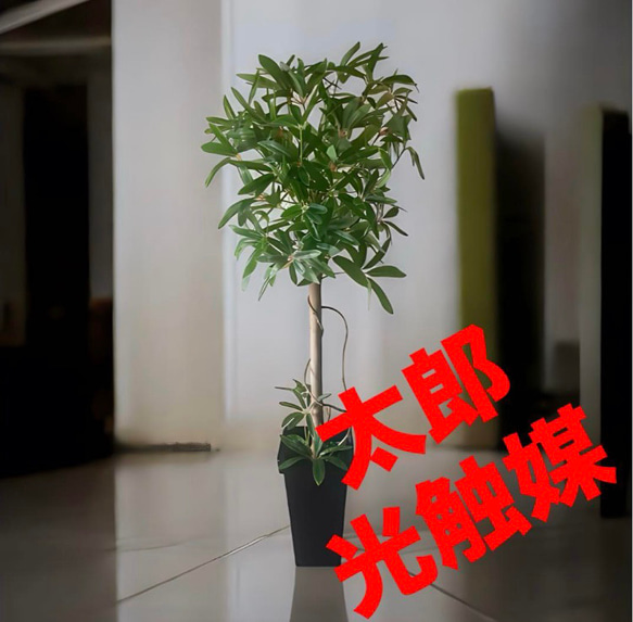 光触媒　人工観葉植物　ウォールグリーン　フェイクグリーン　シェフレア123gpt 61ok6hHMLSL._UF894,1000_QL80_.jpg