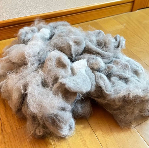 ワンちゃん・猫ちゃん・うさぎさんの毛を毛糸に。【愛犬・愛猫・うさぎさんの毛を紡ぎます】 6枚目の画像