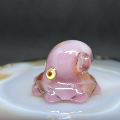 ガラスの深海生物・ちっこいジュウモンジタコ（ダンボオクトパス