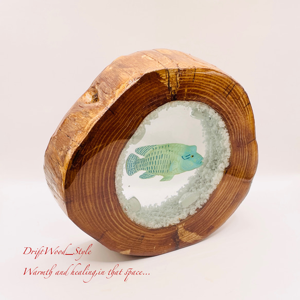 流木を使ったレジンアート ナポレオンフィッシュ 海の生き物 ジオラマ 流木 レジンアート テラリウム アクアリウム N6 4枚目の画像