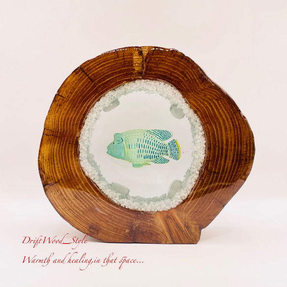 流木を使ったレジンアート ナポレオンフィッシュ 海の生き物 ジオラマ 流木 レジンアート テラリウム アクアリウム N6 6枚目の画像