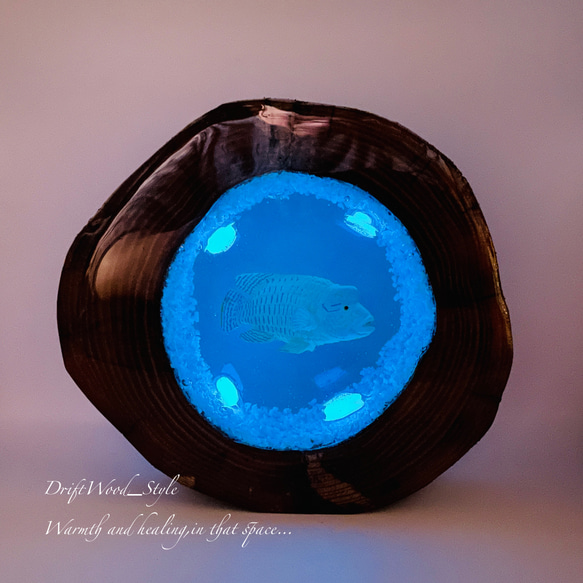 流木を使ったレジンアート ナポレオンフィッシュ 海の生き物 ジオラマ 流木 レジンアート テラリウム アクアリウム N6 2枚目の画像