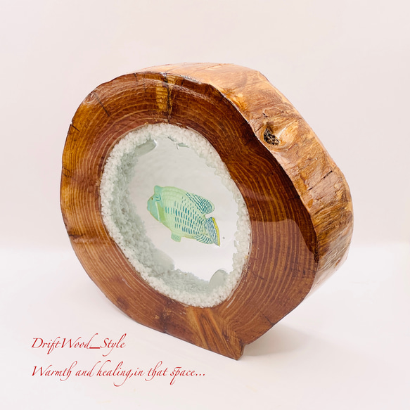 流木を使ったレジンアート ナポレオンフィッシュ 海の生き物 ジオラマ 流木 レジンアート テラリウム アクアリウム N6 9枚目の画像