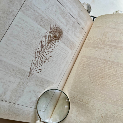 英国で出会った♪ アンティーク 古書 1890年版 詩集絵本 「TENS 英国で出会った♪ アンティーク 古書 1890年版 詩集絵本 「TENS