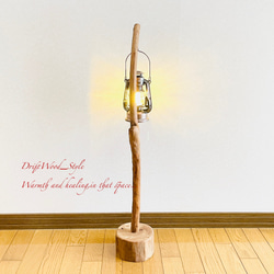 流木インテリア 曲線を描くシンプルな流木スタンド ランタンやエアプラントを飾れる置物 北欧 照明 木材 N62 12枚目の画像