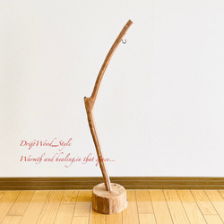 流木インテリア 曲線を描くシンプルな流木スタンド ランタンやエアプラントを飾れる置物 北欧 照明 木材 N62 13枚目の画像