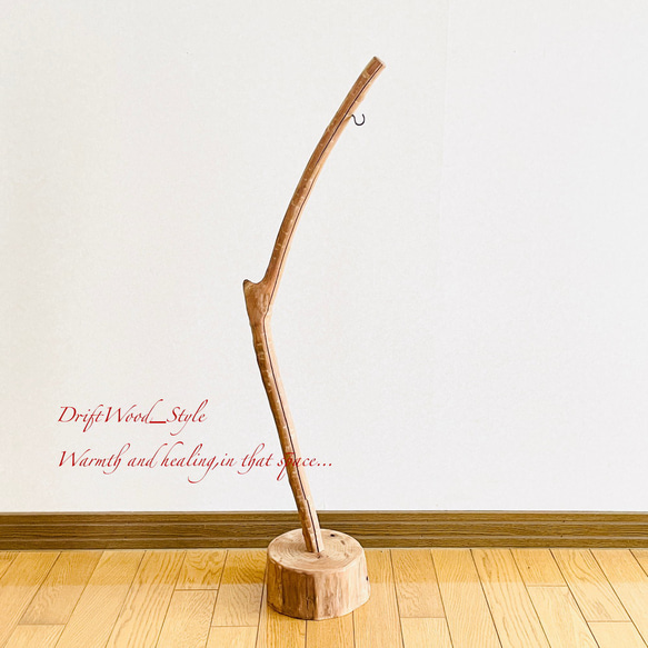 流木インテリア 曲線を描くシンプルな流木スタンド ランタンやエアプラントを飾れる置物 北欧 照明 木材 N62 13枚目の画像