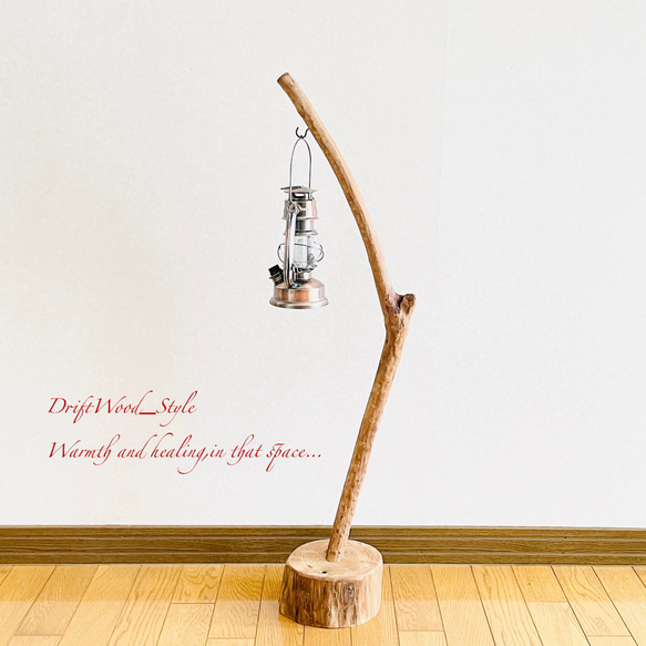 流木インテリア 曲線を描くシンプルな流木スタンド ランタンやエアプラントを飾れる置物 北欧 照明 木材 N62 10枚目の画像