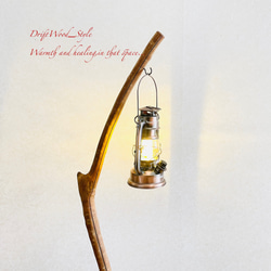 流木インテリア 曲線を描くシンプルな流木スタンド ランタンやエアプラントを飾れる置物 北欧 照明 木材 N62 11枚目の画像