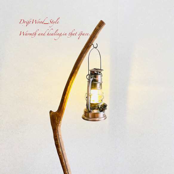 流木インテリア 曲線を描くシンプルな流木スタンド ランタンやエアプラントを飾れる置物 北欧 照明 木材 N62 11枚目の画像