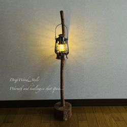 流木インテリア 曲線を描くシンプルな流木スタンド ランタンやエアプラントを飾れる置物 北欧 照明 木材 N62 6枚目の画像